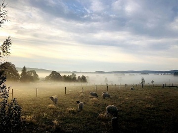 Chalupa s baz�nem - Roubenka ���rsk� vrchy