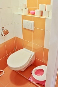 Wellness chalupa s baz�nem - Vyso�ina a ji�n� �echy