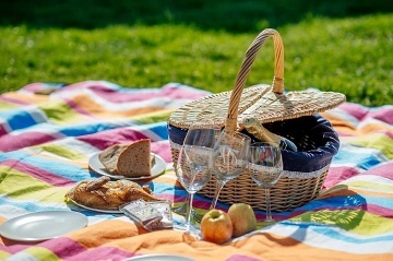 Sruby a apartm�ny - Orlick� Podh��� - Letohrad