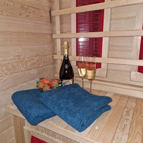 Wellness roubenka u lesa - chalupa Dlouh� str�n�