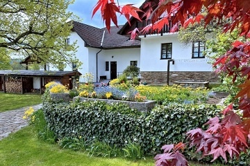 Chalupa samota a vnit�n� baz�n - Javorn�k - �umava