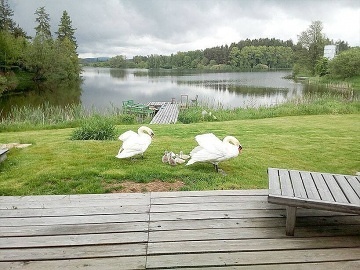 Chata s wellness - samota a rybn�k - ji�n� �echy