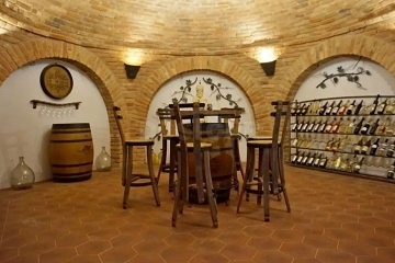 Chata a glamping vinn� sklep a baz�n - Znojemsko