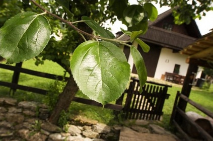Roubenka Strážovské vrchy - skanzen Čičmany