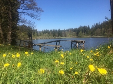 Vila Lipno - Frymburk - chalupa s bazénem