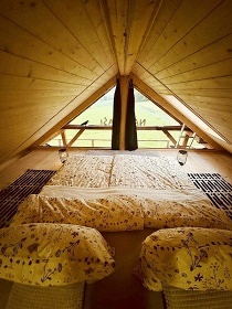 Wellness srub samota u lesa - Glamping Klatovy - �umava