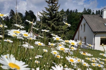 Chata s baz�nem - hrad Pecka - Valdov - �esk� r�j