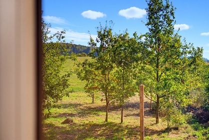 Glamping v korun� stromu - hrad Orl�k - Vyso�ina