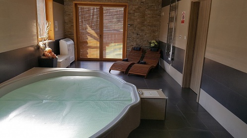 Chata s wellness - Blansk� les - �esk� Krumlov