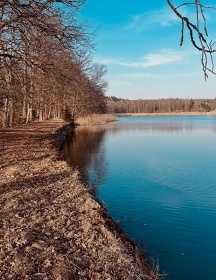Glamping samota u lesa - Kuks - ZOO Dv�r Kr�lov�