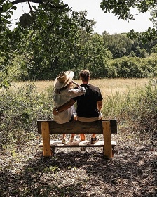 Wellness glamping u lesa - Sázava - Střední Čechy
