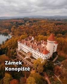 Wellness glamping u lesa - Sázava - Střední Čechy