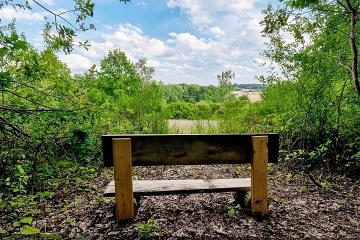 Wellness glamping u lesa - Sázava - Střední Čechy