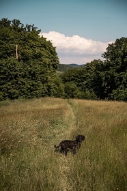 Wellness glamping - cyklostezka Be�va - Beskydy
