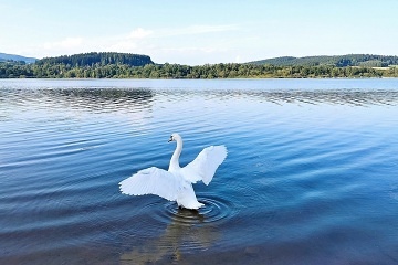 Chata Lipensk� jezero - Karlovy Dvory - ji�n� �echy