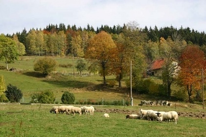 Chata Dolní Bečva s bazénem - Beskydy