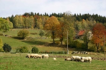 Chata Dolní Bečva s bazénem - Beskydy