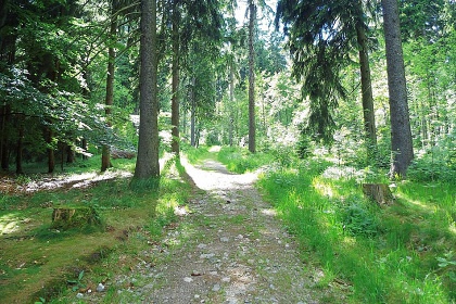 Chata Archa - Pernink - Abertamy - Plešivec