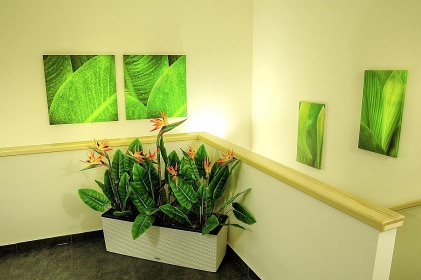Hotel Říčky v Orlických horách - wellness