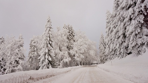 Chalupa a kachlová kamna s pecí - Orlické hory