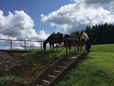 Penzion s venkovnm baznem - Krun hory