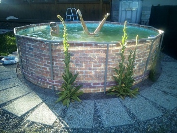 Chata s baznem - Bozkov - Jesenn