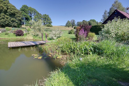 Poloroubenka s baznem - Detn v Orlickch h.