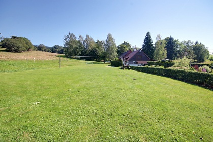 Poloroubenka s baznem - Detn v Orlickch h.