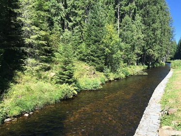 Apartmán Srní 119 - ubytování u lesa - Šumava