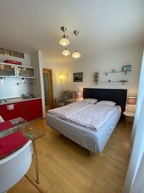 Apartmán Srní 119 - ubytování u lesa - Šumava