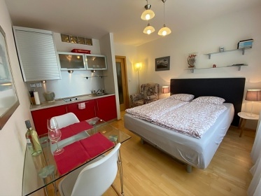 Apartmán Srní 119 - ubytování u lesa - Šumava