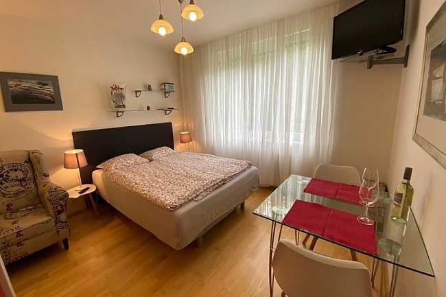 Apartmn Srn 119 - ubytovn u lesa - umava