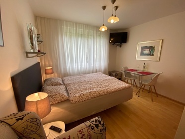 Apartmán Srní 119 - ubytování u lesa - Šumava
