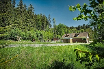 Chalupa bazn a sauna - ky v Orlickch horch