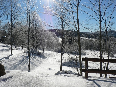 Chalupa na samot - ern Lada - Borov Lada