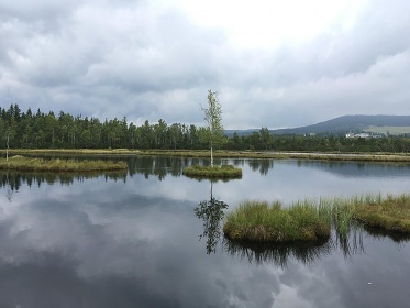 Chalupa na samot - ern Lada - Borov Lada