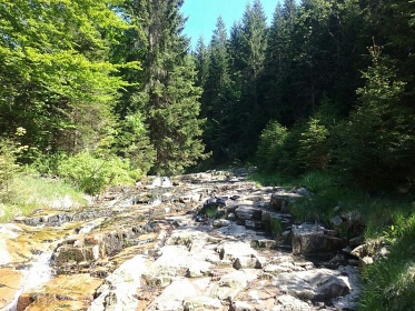 Chata Martinsk dol - Krkonoe a Jizersk hory