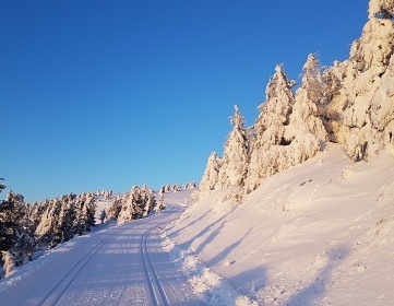 Horsk srub - bazn a vivka - Jesenky - Kralik