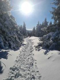 Horsk srub - bazn a vivka - Jesenky - Kralik