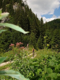 Drevenica pod Tlstou - Blatnica - Veľká Fatra