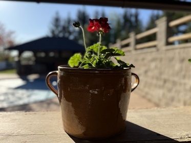 Chalupa s baz�nem a v��ivkou - Toulovcovy Ma�tale