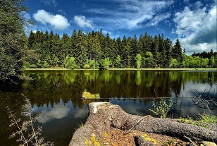 Chalupa esk Kanada - hrad Landtejn - Hrky