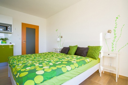 Apartmánová chata s bazénem - Mladá Vožice
