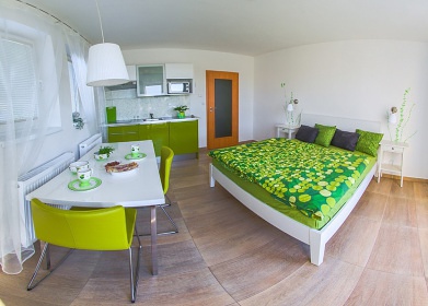 Apartmánová chata s bazénem - Mladá Vožice