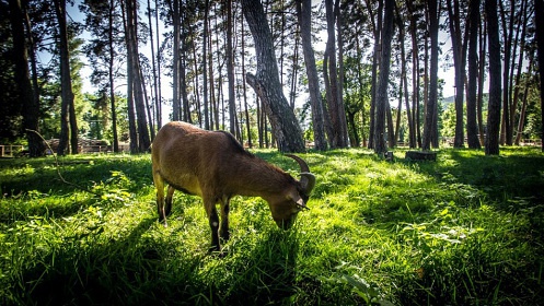 Chaty St�edn� Pos�zav� - lod� a �eka S�zava