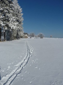Chalupa venkovsk statek - esk Petrovice