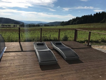 Wellness Resort Pasen - Lipno, Pedn Vto