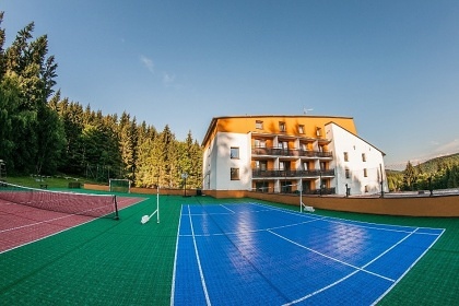 Wellness chata - Hrub� Jesen�k - hora Prad�d