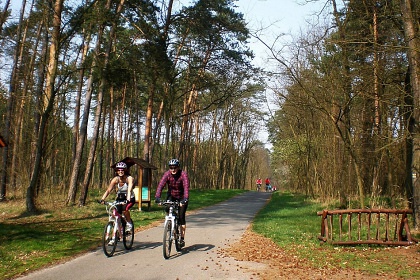 Penzion u sklípků - Vacenovice - Hodonín