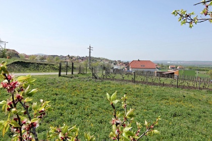 Ubytování v Zaječí - rekreační dům Pálava